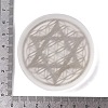 Flat Round Natural Selenite Slice Coasters DJEW-C015-02I-01-3