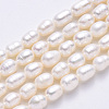 Natural Cultured Freshwater Pearl Beads Strands PEAR-N012-06D-2