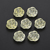 Transparent Baking Painted Glass Beads GLAA-S190-022-A09-5