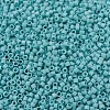 MIYUKI Delica Beads SEED-JP0008-DB0878-3
