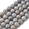 Natural Gemstone Beads Strands G-L641-A01-04-2