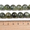 Natural Prehnite Beads Strands G-P322-48-12mm-7