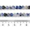 Natural Blue Spot Jasper Beads Strands G-M403-A21-02-5