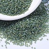 MIYUKI Delica Beads SEED-X0054-DB1282-1