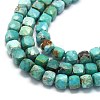 Natural HuBei Turquoise Beads Strands G-G106-G01-01-3