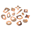 Fashewelry 30Pcs 15 Style Transparent Resin & Walnut Wood Pendants RESI-FW0001-04-14