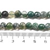 Natural Moss Agate Beads Strands G-C179-A21-02-5