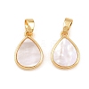 Natural Shell Charms KK-Z140-25G-1