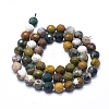 Natural Ocean Jasper Beads Strands G-D0013-66-2