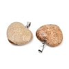 Natural Picture Jasper Pendants G-A281-02P-10-2