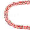 2Strands Handmade Lampwork Beads Strands BLOW-TADJ0001-01H-1
