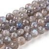 Natural Labradorite Beads Strands G-O176-04B-1