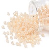 TOHO 6/0 Round Beads SEED-XTR06-0147-1