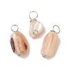 Natural Seashell Nuggets Charms PALLOY-JF02841-1