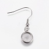 Stainless Steel Dangle Earrings LS-EJEW-WH0001-A05-1