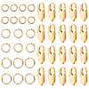 Brass Lobster Claw Clasps KK-BBC0023-50D-1