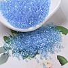 MIYUKI Delica Beads Small SEED-X0054-DBS0176-1