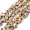 Natural Sea Shell Beads Strands BSHE-E026-14-1