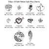 100pcs 10 Style Tibetan Style Alloy Charms TIBEP-CJ0001-37-2