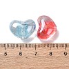 Transparent Resin Beads RESI-G119-08-3