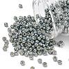 TOHO 6/0 Round Beads SEED-TR06-PF0565-1