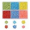 4302Pcs 6 Style 12/0 Round Glass Seed Beads SEED-YW0001-89-1