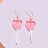 Stainless Steel Plastic Dangle Earrings FS-WG9C83A-05-1