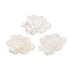 Natural White Shell Carved Cabochons SSHEL-I026-15-1