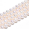 Natural Cultured Freshwater Pearl Beads Strands PEAR-N016-07C-2