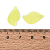 Transparent Acrylic Pendants FACR-R007-12-01-3