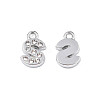 304 Stainless Steel Charms STAS-N095-137S-2