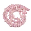 Natural Kunzite Beads Strands G-P597-A01-01-3