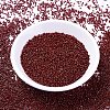 MIYUKI Delica Beads SEED-MY11-DB2120-2
