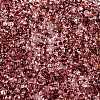 Spray Painted with Glitter Powder Glass Seed Beads SEED-T007-09A-2