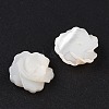 Natural White Shell Beads SSHEL-C012-06-2