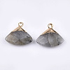 Electroplate Natural Labradorite Pendants G-T112-04A-2