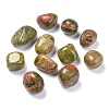 Natural Unakite Beads G-M368-09A-1