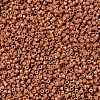 MIYUKI Delica Beads SEED-MY11-DB2107-3