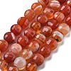 Natural Red Agate Beads Strands G-C179-A02-02-2