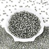 Silver Lined Glass Seed Beads SEED-T007-18A-03-2