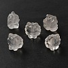 Natural Quartz Crystal Beads G-B100-02-2