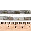 Natural Labradorite Beads Strands G-F832-B10-01-5
