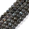 Natural Gemstone Labradorite Round Beads Strands X-G-E251-33-6mm-02-1