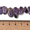 Natural Charoite Beads Strands G-P604-A29-01-5