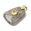 Natural Labradorite Pendants G-C282-03F-2