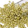 6/0 Glass Seed Beads X1-SEED-A017-4mm-1113-1