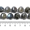 Natural Labradorite Beads Strands G-G182-B02-07-5