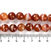 Natural Striped Agate/Banded Agate Beads Strands X-G-Z060-A01-C05-5