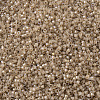 MIYUKI Delica Beads SEED-JP0008-DB1731-3