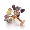 Natural Fluorite Chips Display Decorations G-Z016-13I-3